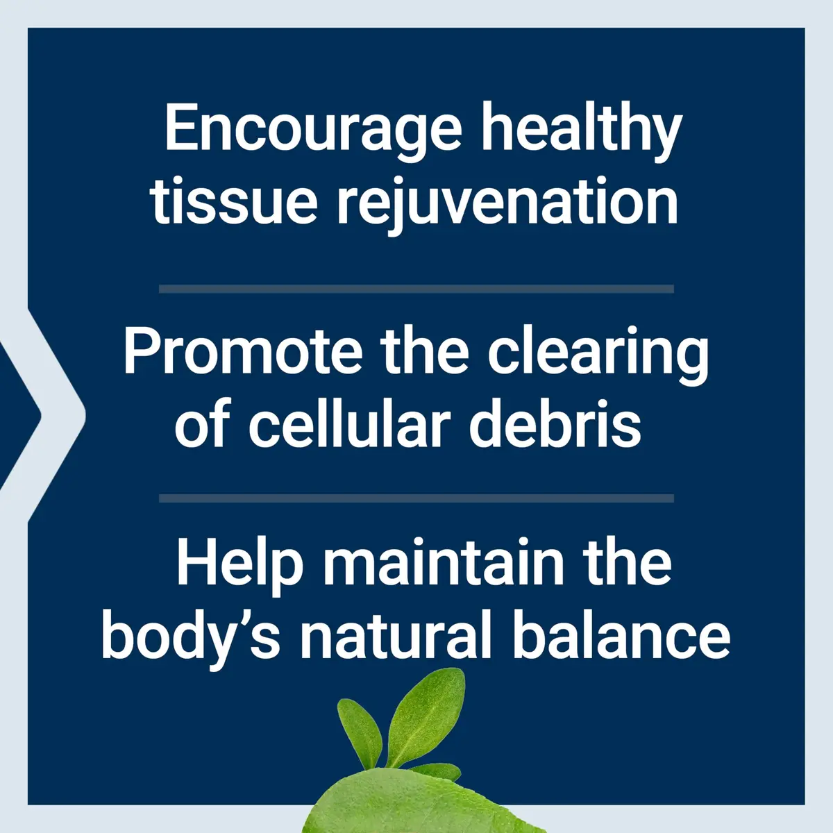Life Extension Pro-Resolving Mediators 30 softgels | Supports Post-Inflammatory Response & Tissue Rejuvenation - view 3