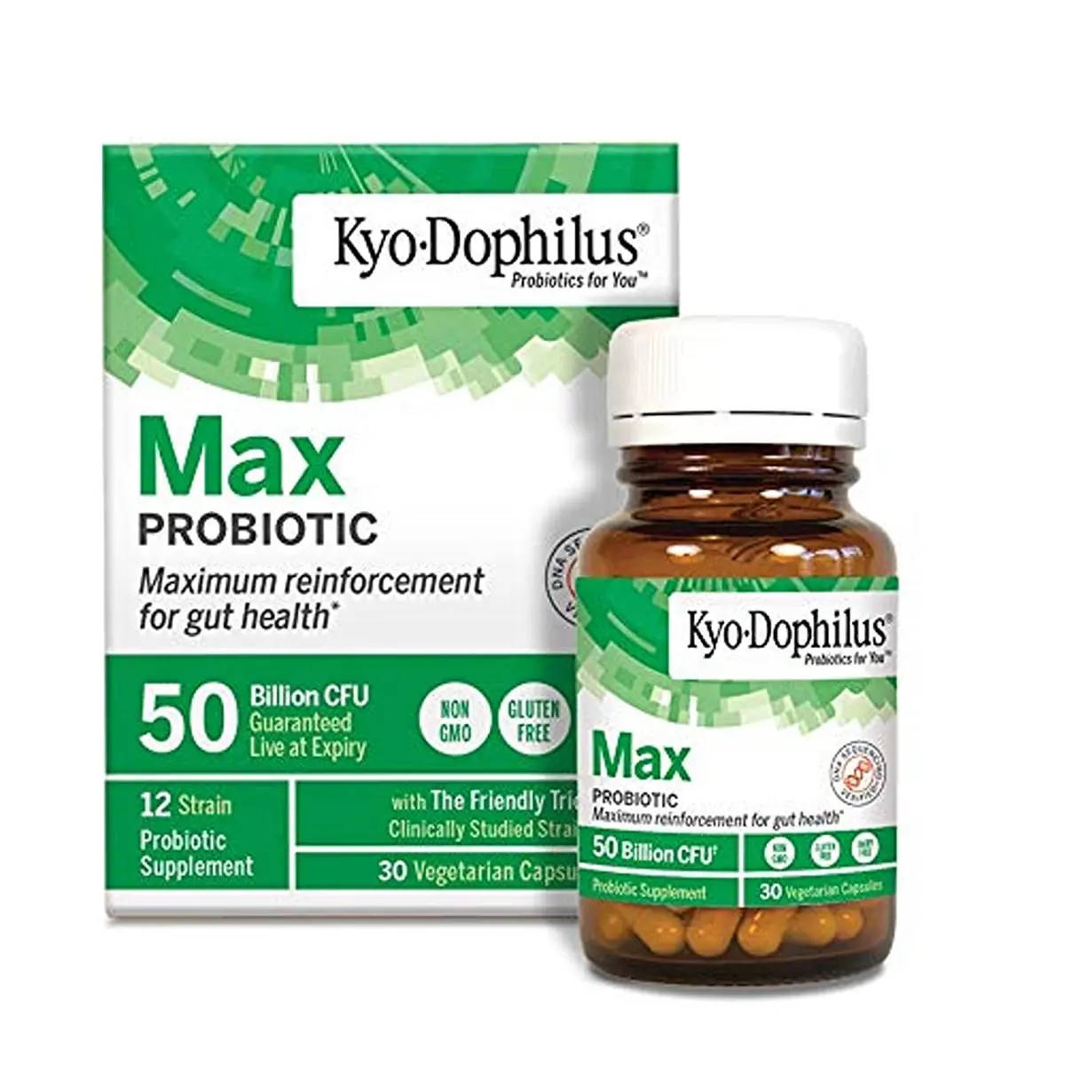 Kyo-Dophilus Probiotic Max 30 Count | 50 Billion CFU, Vegan, No Refrigeration - view 4