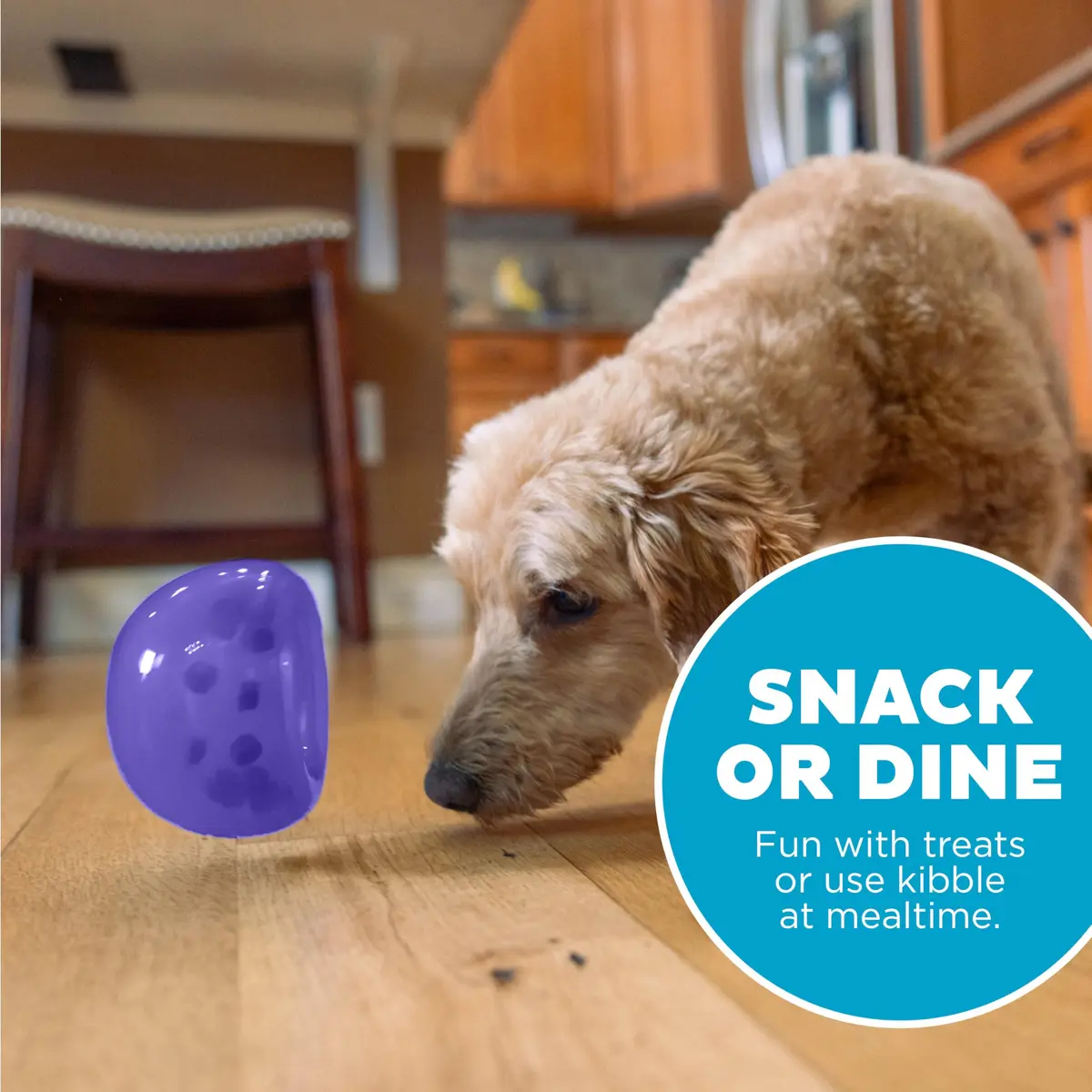 Outward Hound Lil' Snoop Interactive Treat Dispensing Dog Toy, Purple, 3.9" | Mental Stimulation & Slow Feeding - view 5