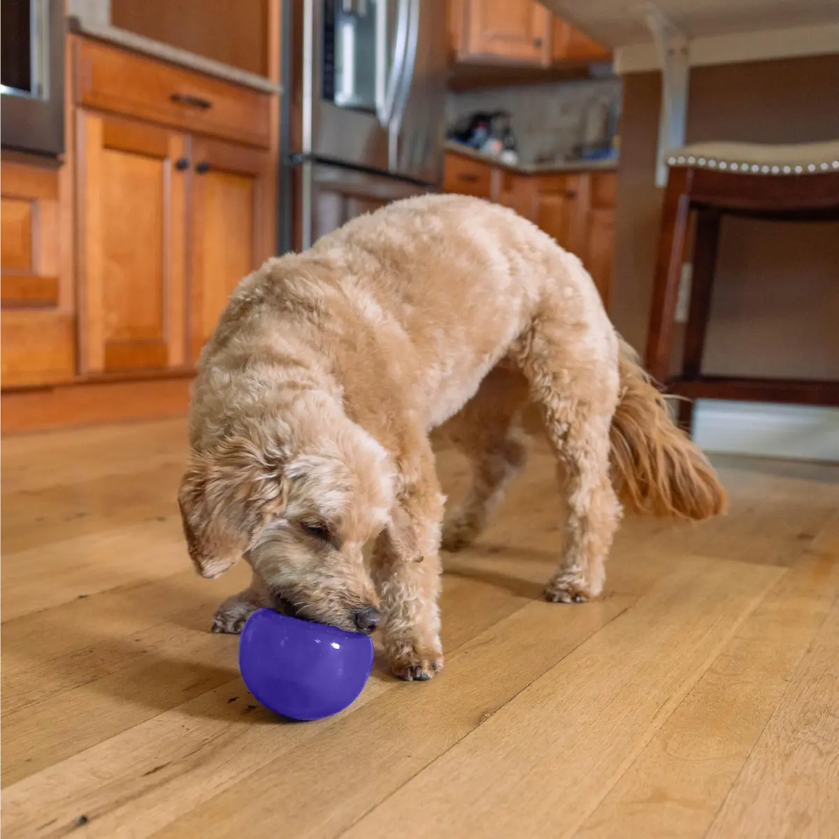 Outward Hound Lil' Snoop Interactive Treat Dispensing Dog Toy, Purple, 3.9" | Mental Stimulation & Slow Feeding - view 8