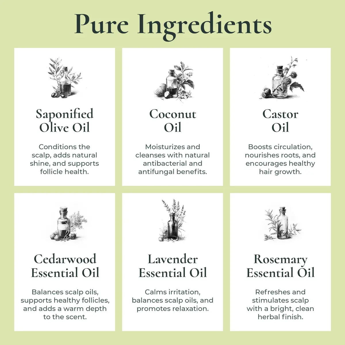 J.R.LIGGETT'S All-Natural Shampoo Bar Supports Strong & Healthy Hair | Vegan, Sulfate-Free, Herbal Scent - view 4