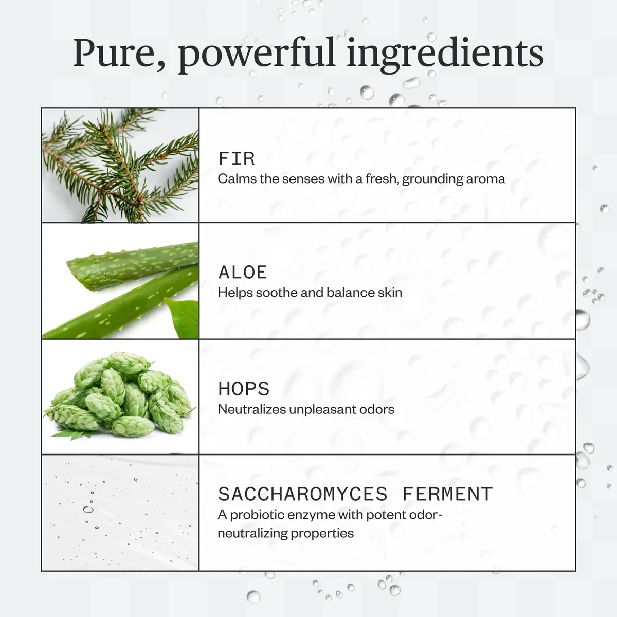 Ursa Major Forest Fix Spray Deodorant | Vegan, Aluminum-Free, Non-Staining, Sensitive Skin Friendly - view 3