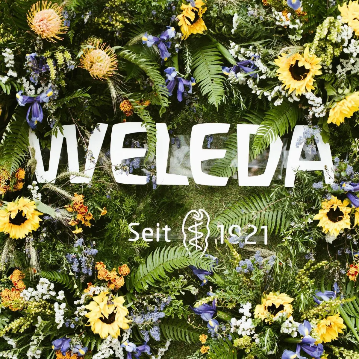 Weleda Skin Food Original Ultra-Rich Body Cream 3.4 fl oz (Pack of 10) | Plant-Rich Moisturizer for Dry Skin - view 6