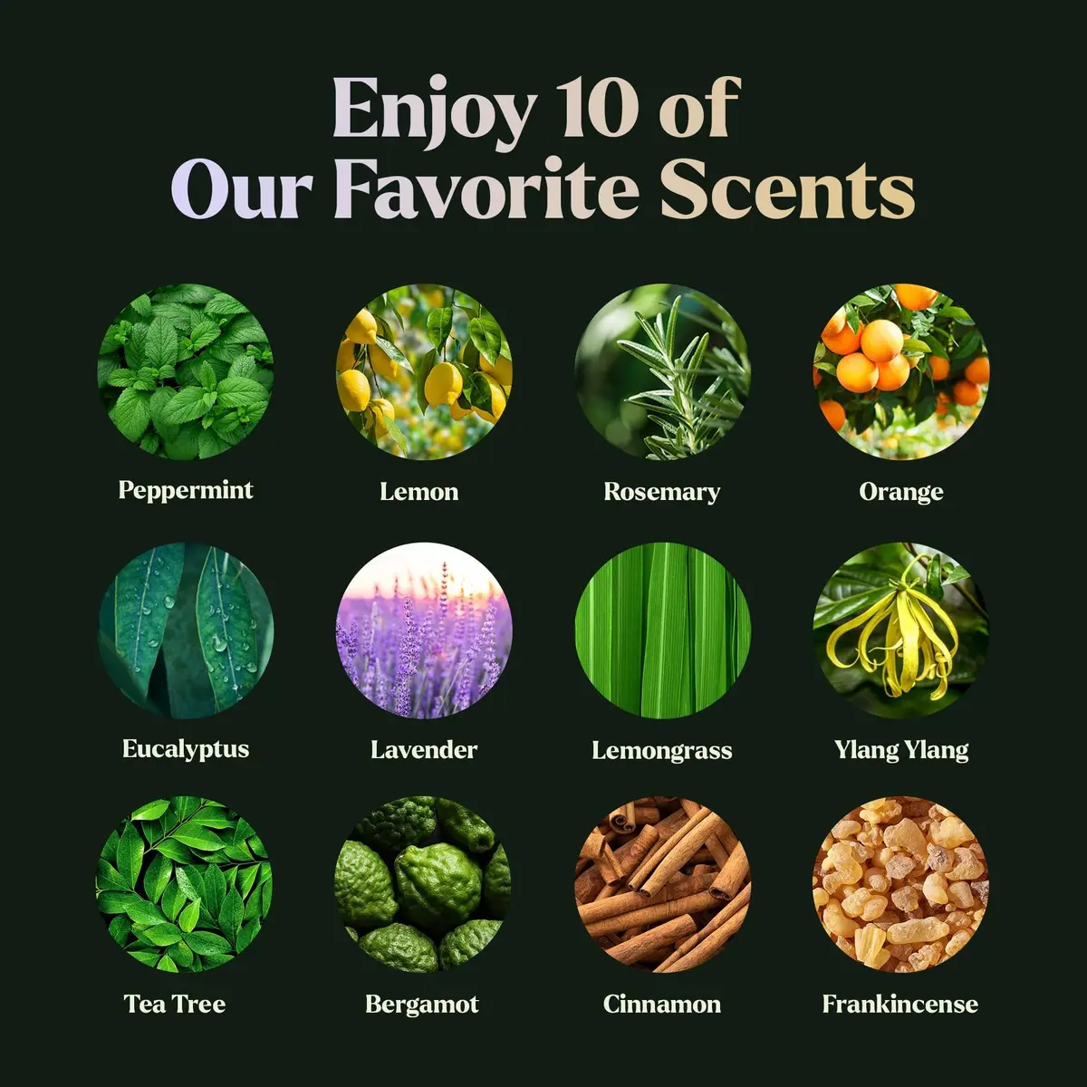 Lagunamoon Essential Oils Set - 12 Piece Premium Grade | Aromatherapy & Diffuser Oils for Home & Car - view 7
