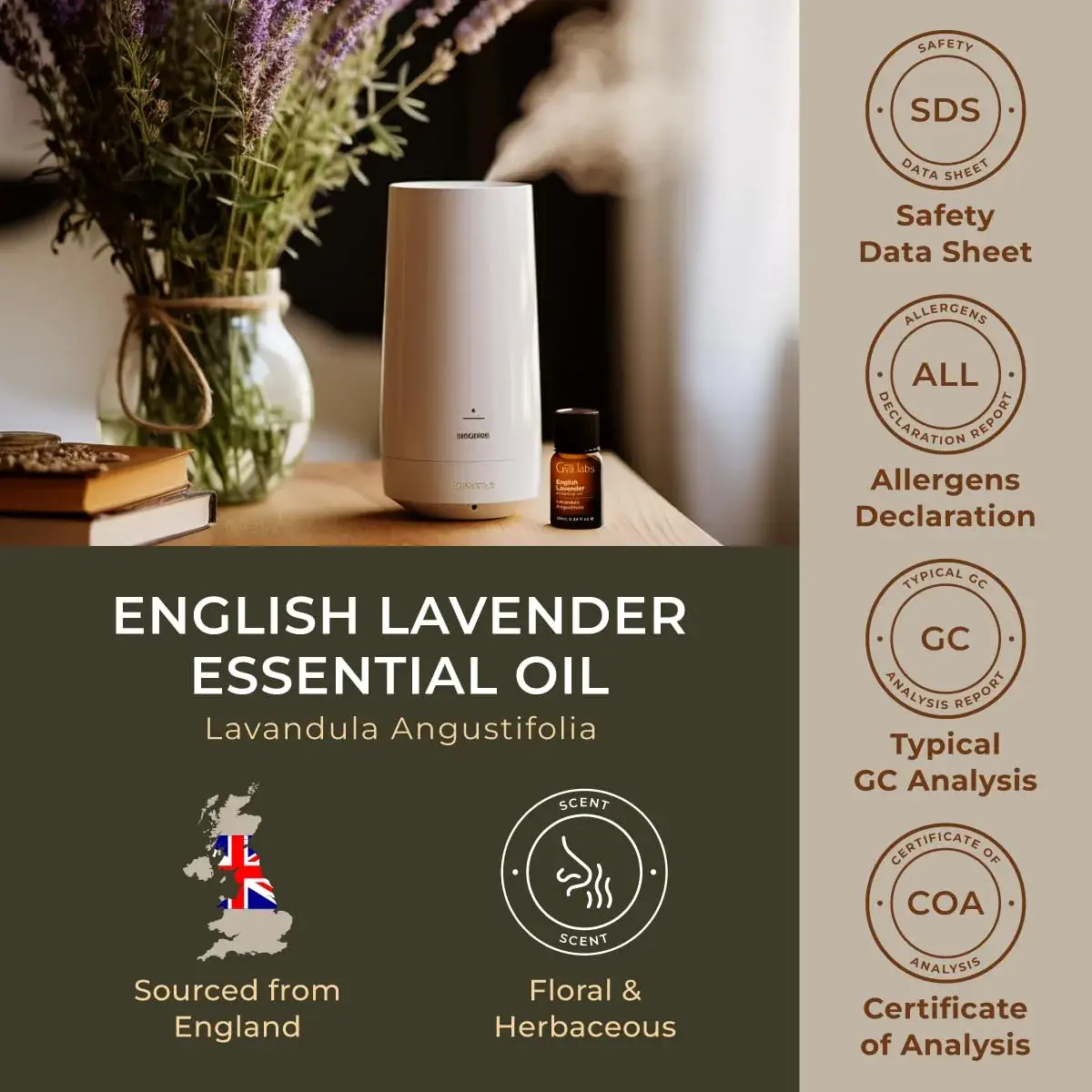 Gya Labs 100% Pure English Lavender Essential Oil, 0.34 Fl Oz (10ml) | Calming Scent for Diffuser & Skin Care - view 6