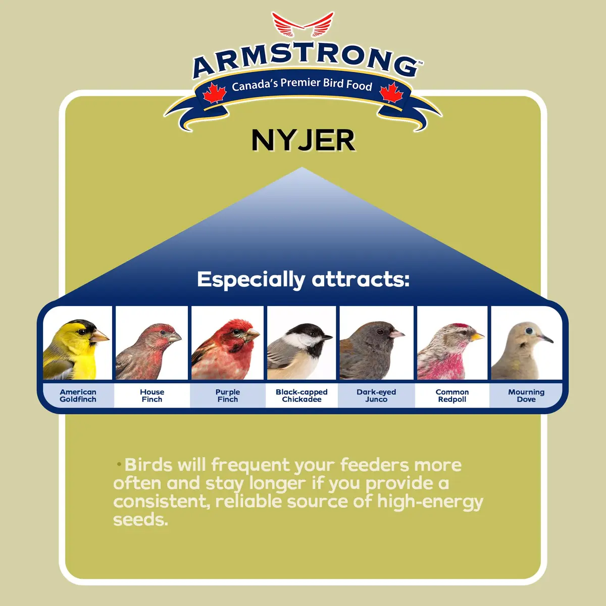 Armstrong Bird Food Nyjer Bird Seed 4lbs | High-Energy, Nutritious for Small Birds - view 3