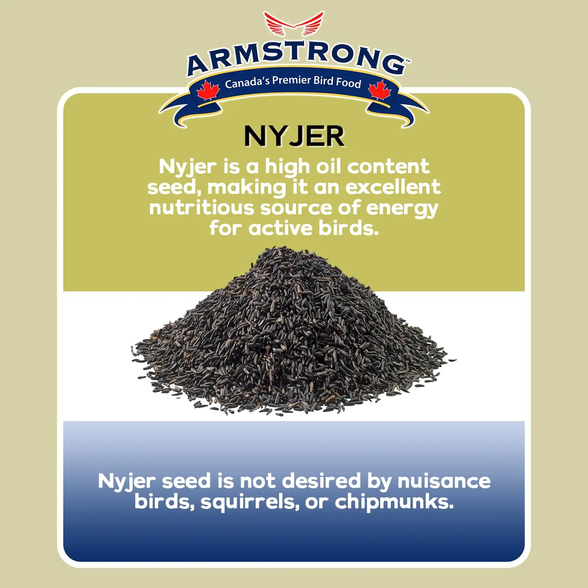 Armstrong Bird Food Nyjer Bird Seed 4lbs | High-Energy, Nutritious for Small Birds - view 4
