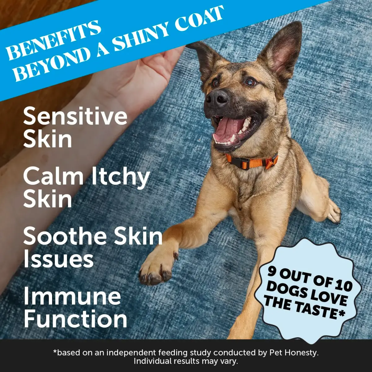 Pet Honesty Skin Health Omega Soft Chews for Dogs | 90 Chews (2.5kg / 5.5lb) - view 2
