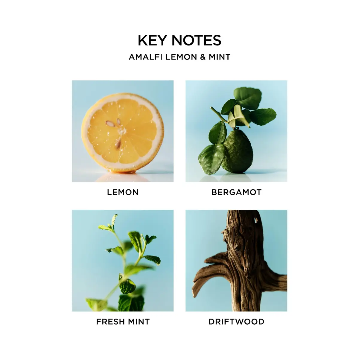 NEST New York Scented 3-Wick Candle, Amalfi Lemon & Mint | Elegant Home Fragrance (70-120 chars) - view 4