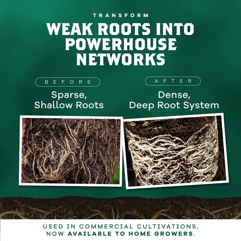 DYNOMYCO Mycorrhizal Fungi Inoculant 100g | Boosts Root Growth & Nutrient Uptake - view 3