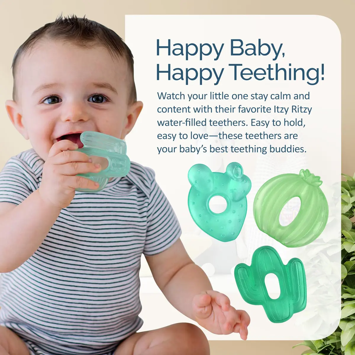 Itzy Ritzy Water-Filled Cactus Teethers for Babies 3+ Months | Set of 3, Green, BPA-Free - view 5