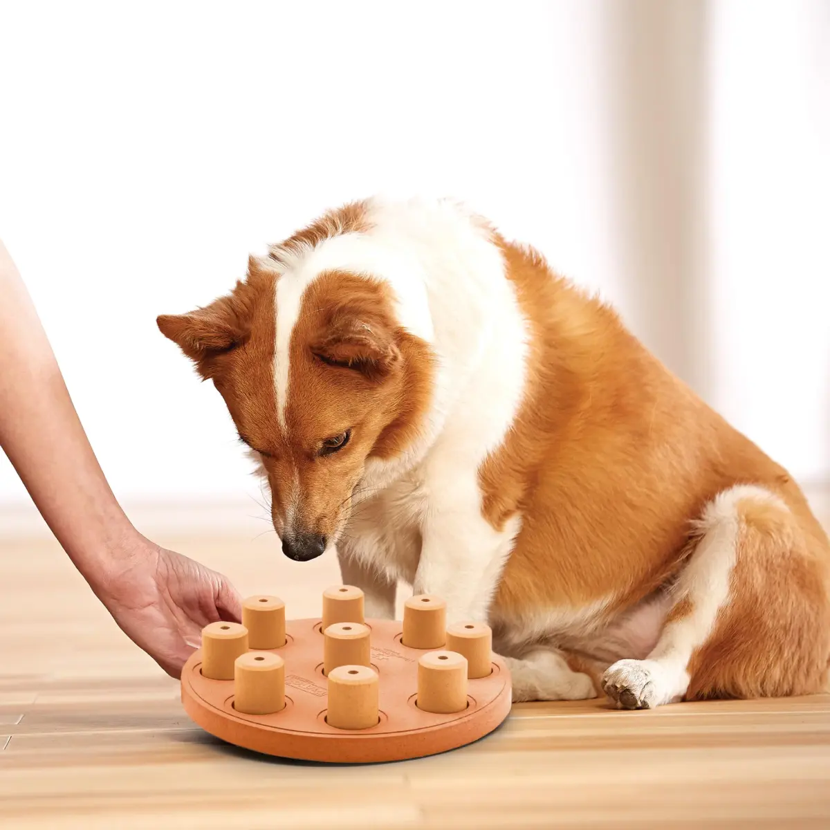 Outward Hound Dog Smart Treat Puzzle Toy Level 1 Beginner Orange Composite | Interactive Enrichment for Dogs - view 8
