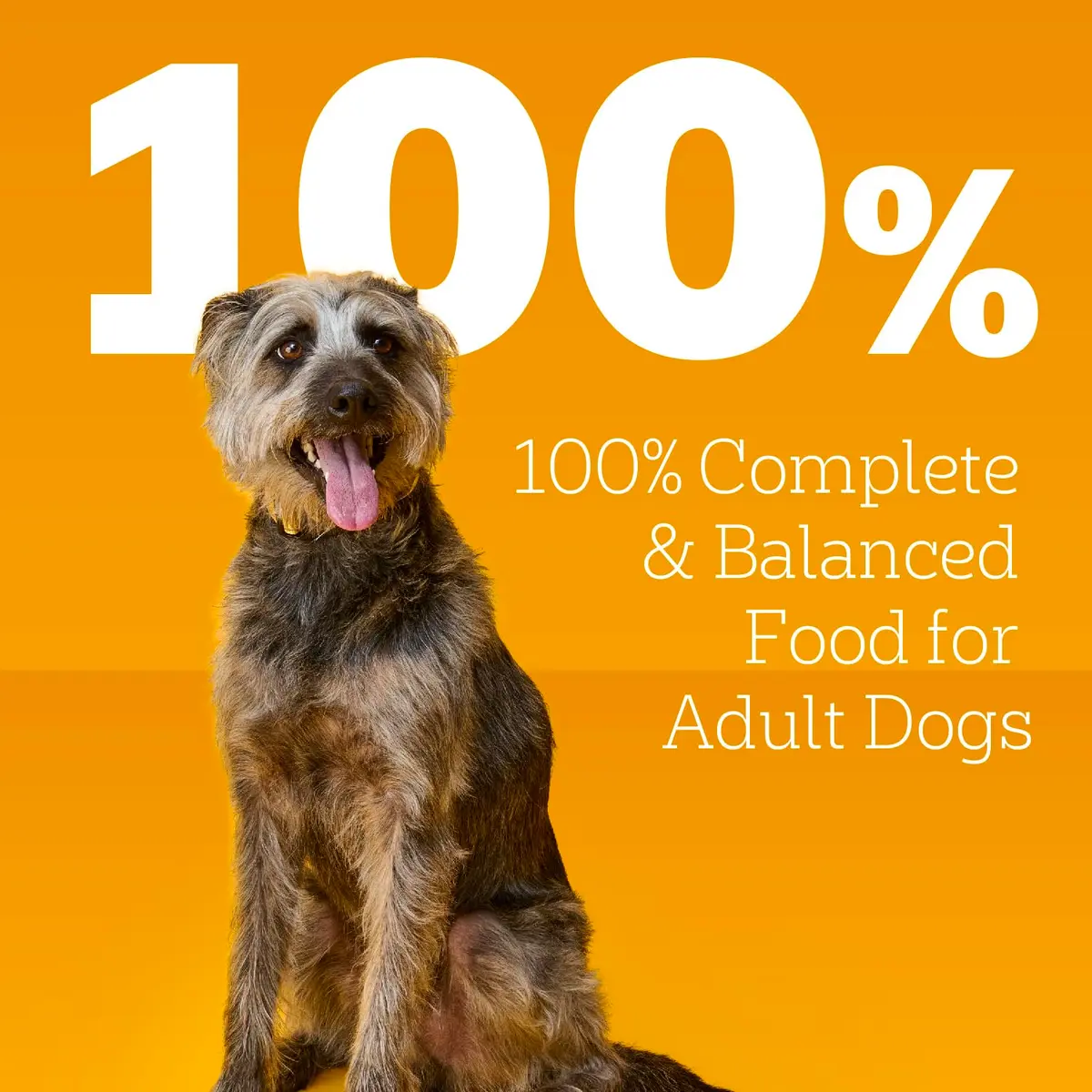 Pedigree Chopped Dinner Wet Dog Food, Chicken & Beef, 13.2 oz | Complete Adult Nutrition, Hydration Support - view 4