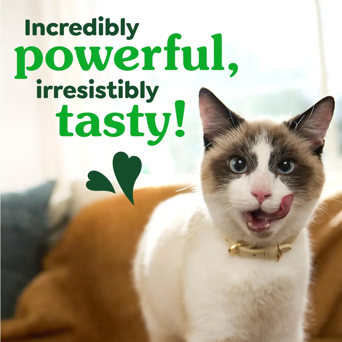 Greenies Feline Natural Dental Cat Treats Roasted Chicken Flavor 60g (2.1 oz) | Vet-Recommended Oral Care for Cats - view 7