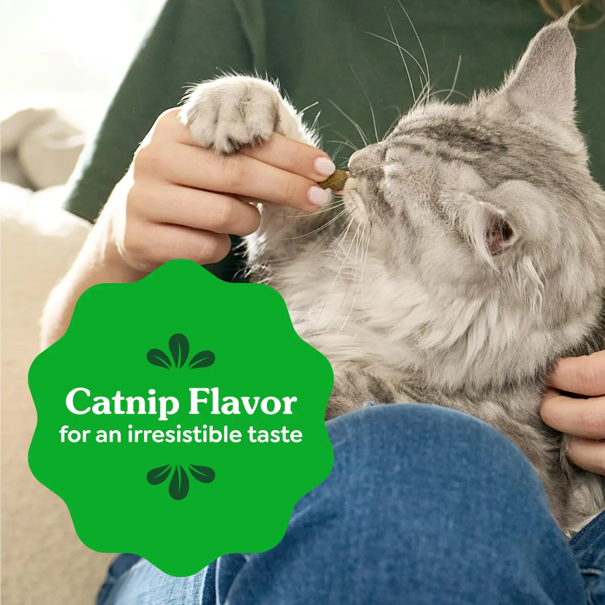Greenies Feline Natural Dental Cat Treats, Catnip Flavor, 130.4g (4.6 oz) | Vet-Recommended Oral Care for Cats - view 8