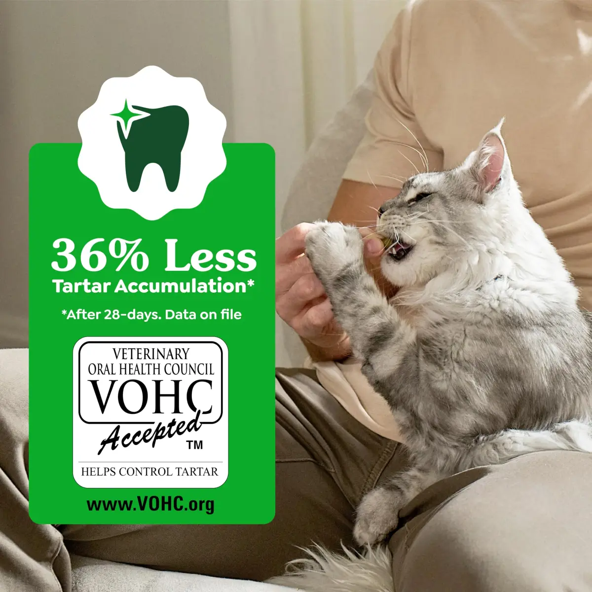 Greenies Feline Natural Dental Cat Treats, Catnip Flavor, 2.1 oz (60 g) | #1 Vet-Recommended Oral Care - view 6