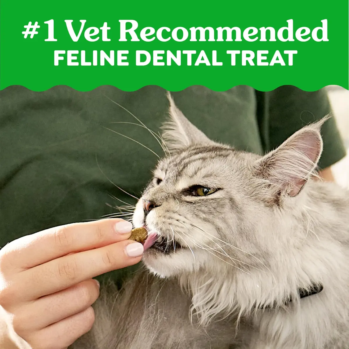 Greenies Feline Natural Dental Cat Treats, Catnip Flavor, 2.1 oz (60 g) | #1 Vet-Recommended Oral Care - view 3