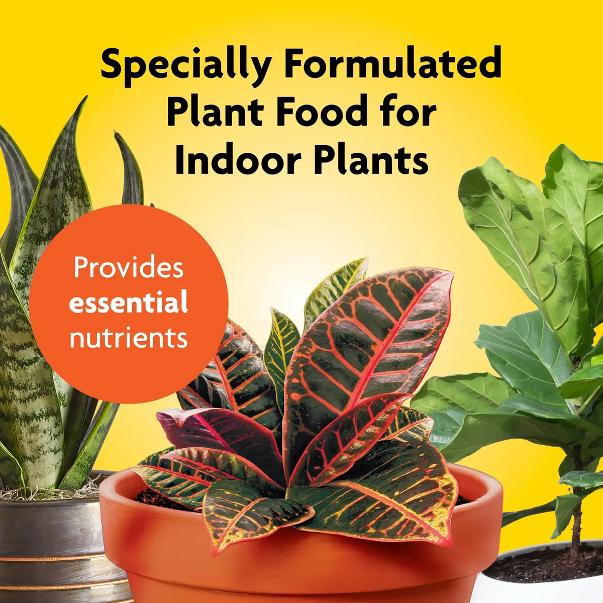 Miracle-Gro Liquid Fertilizer 8 oz | Indoor Plant Food for Houseplants, Snake Plants, Peace Lilies, Vegetables, Herbs, 2-Pack - view 2