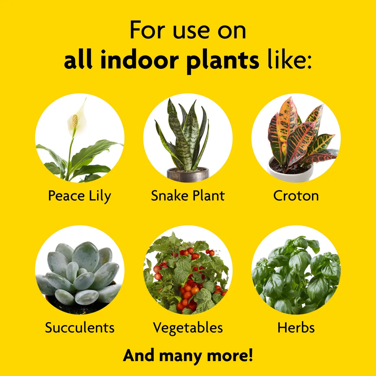 Miracle-Gro Liquid Fertilizer 8 oz | Indoor Plant Food for Houseplants, Snake Plants, Peace Lilies, Vegetables, Herbs, 2-Pack - view 4