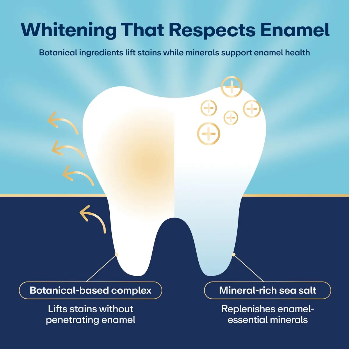 Lumineux Teeth Whitening Strips 21 Treatments (3 Months) | Peroxide-Free, Enamel-Safe, Dentist-Formulated - view 3
