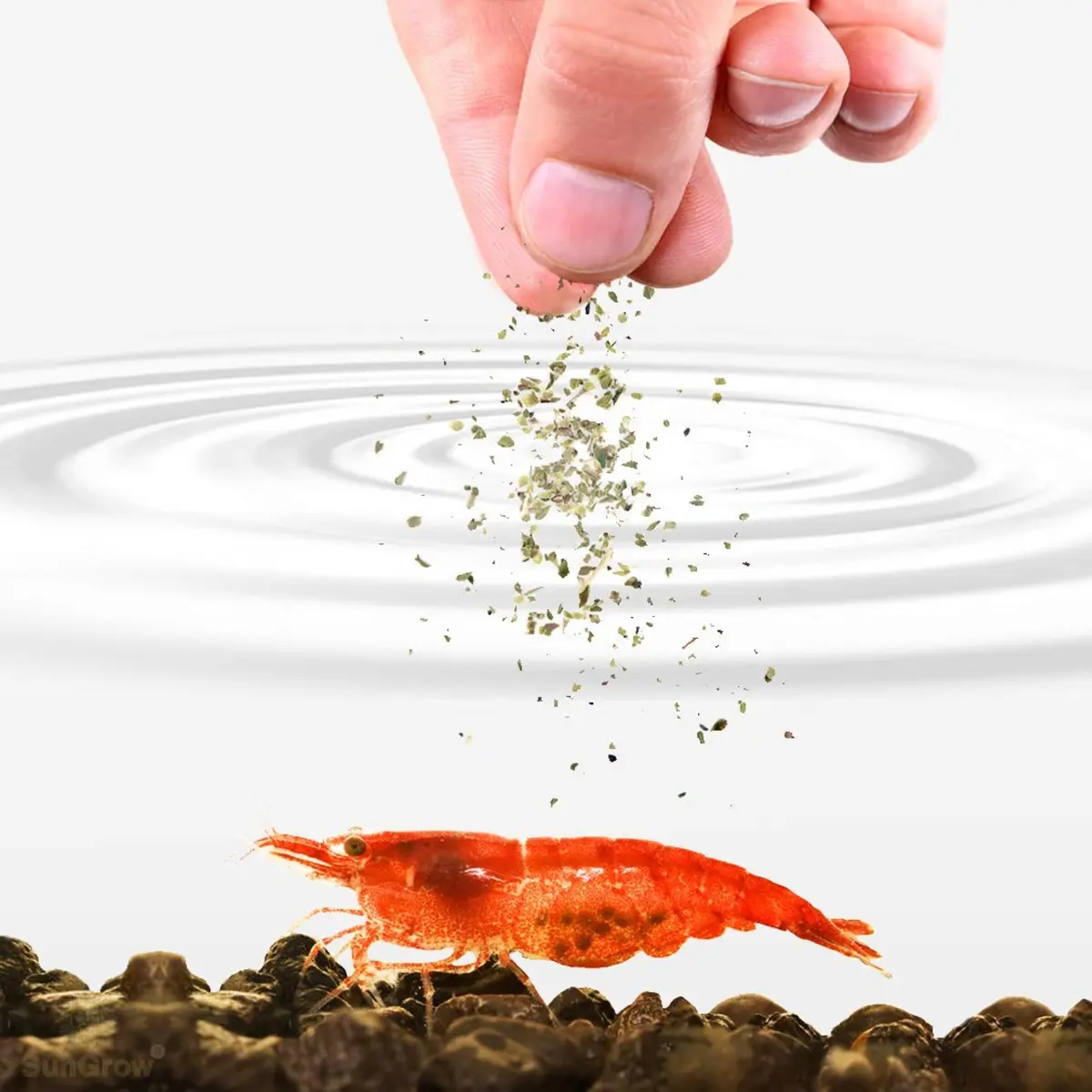 SunGrow Shrimp Calcium White Powder 1.8 oz (51 g) | Essential Mineral for Freshwater Shrimp - view 2