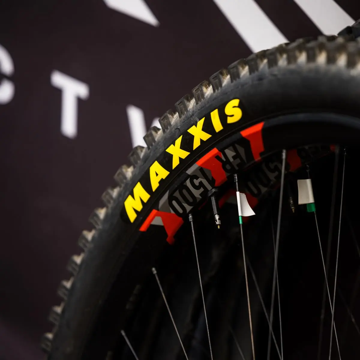 Maxxis Rekon Race 29x2.35 Tubeless XC Tire | Dual Compound, EXO, E25 Rated for Dry Trails - view 4