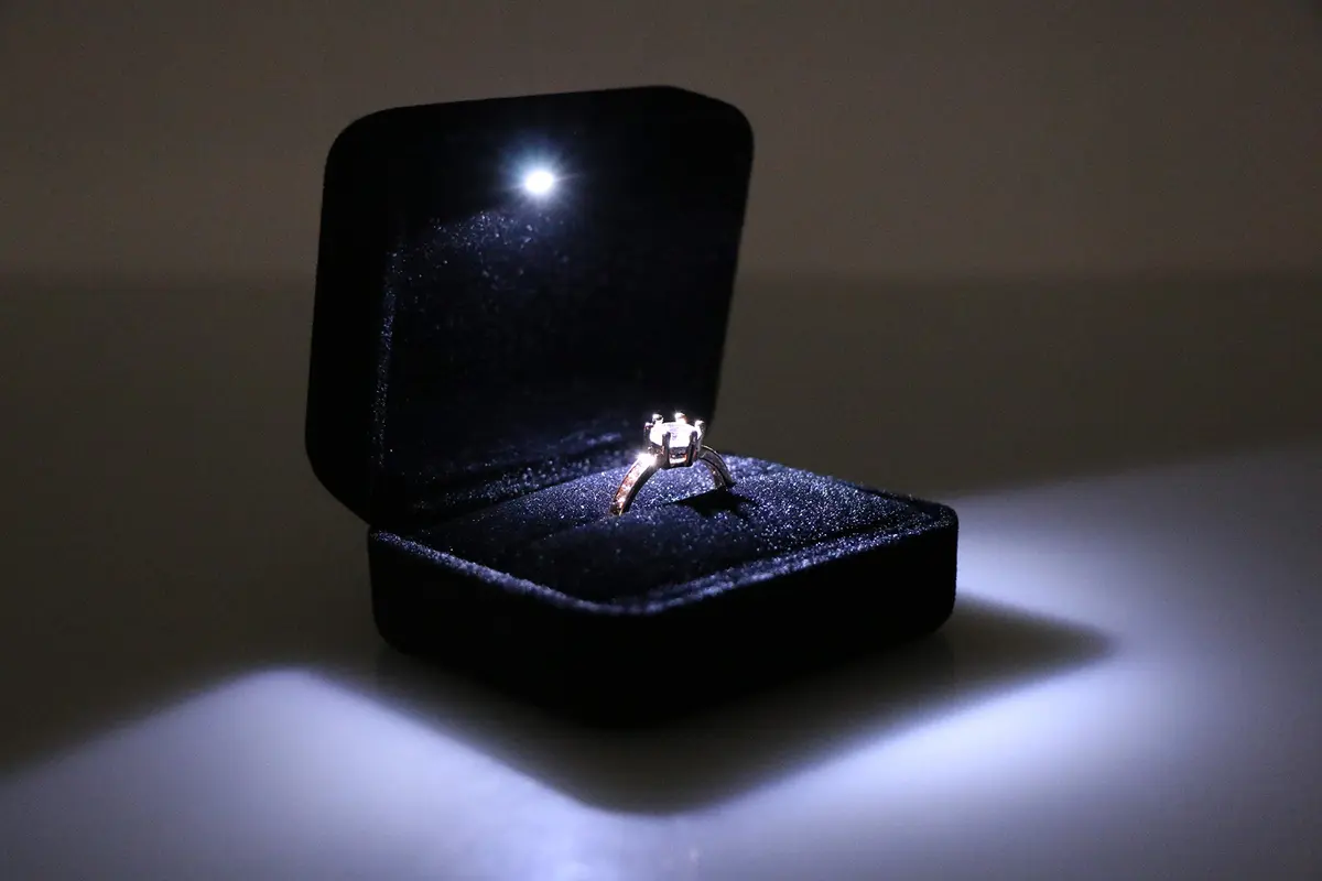 Omeet LED Velvet Ring Box for Proposal, Engagement, Wedding, Slim - Black | Compact Jewelry Storage Case with Built-in Light - view 6