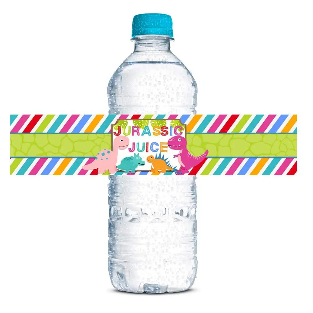 Amanda Creation Dinosaur Birthday Water Bottle Stickers | Waterproof 20 Labels for Girls, 1.75" x 8.5" - main product image