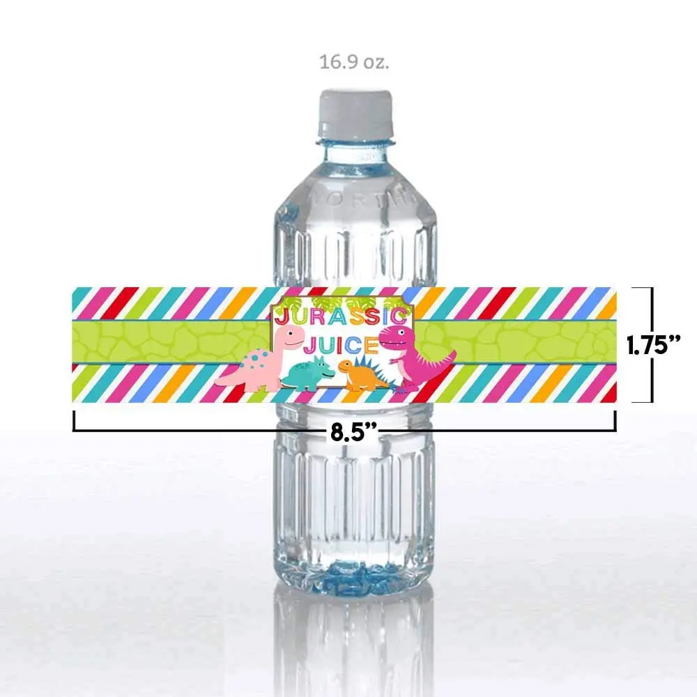 Amanda Creation Dinosaur Birthday Water Bottle Stickers | Waterproof 20 Labels for Girls, 1.75" x 8.5" - view 7
