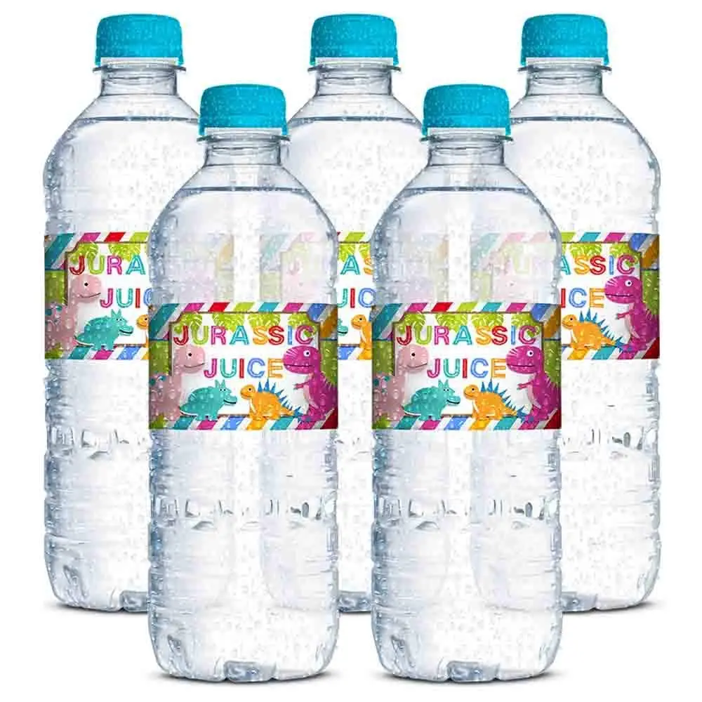 Amanda Creation Dinosaur Birthday Water Bottle Stickers | Waterproof 20 Labels for Girls, 1.75" x 8.5" - view 9
