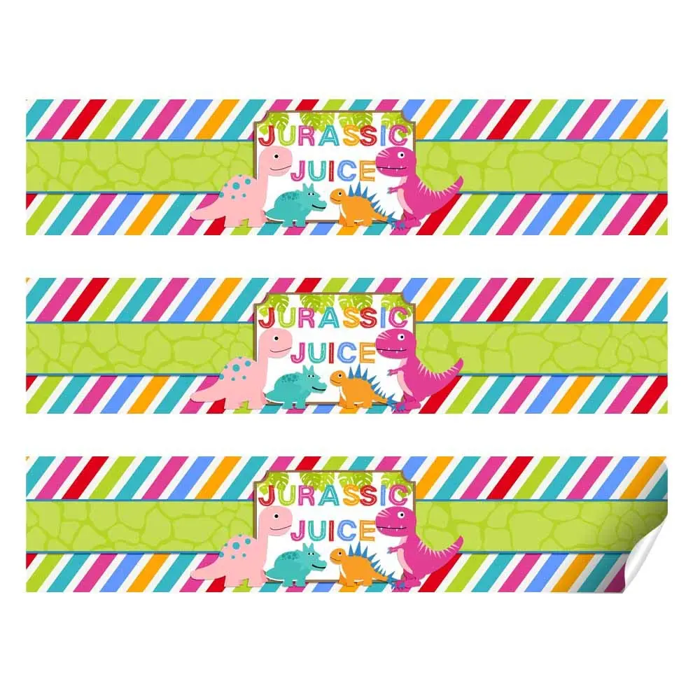 Amanda Creation Dinosaur Birthday Water Bottle Stickers | Waterproof 20 Labels for Girls, 1.75" x 8.5" - view 2