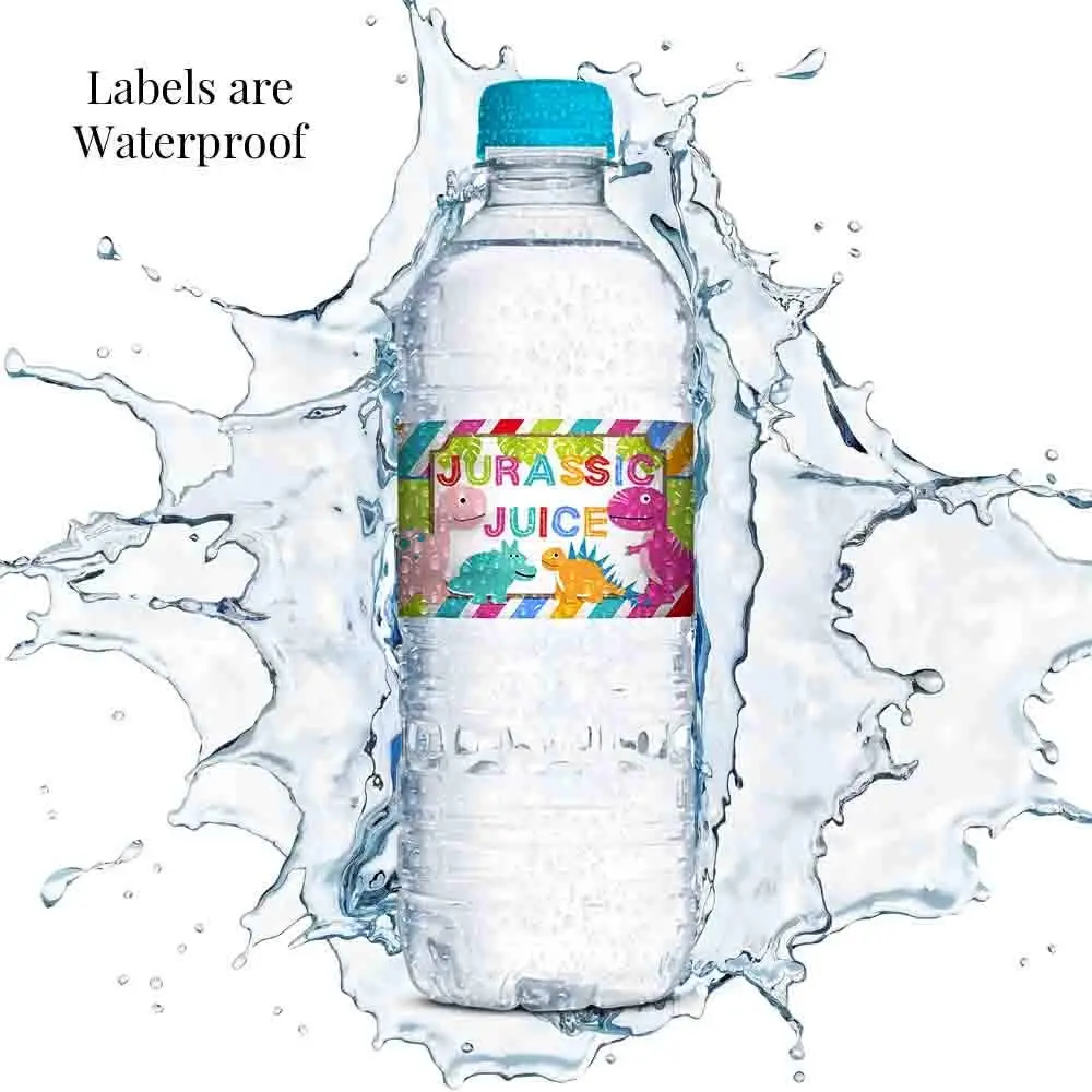 Amanda Creation Dinosaur Birthday Water Bottle Stickers | Waterproof 20 Labels for Girls, 1.75" x 8.5" - view 3