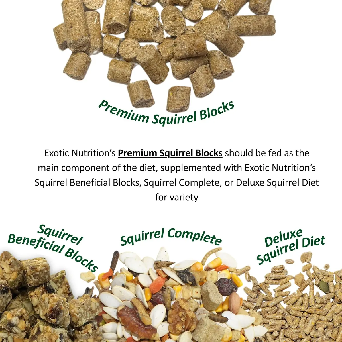 Exotic Nutrition Squirrel Complete 6.8 kg (15 lb) | Healthy Natural Food for Pet & Captive Squirrels - main product image