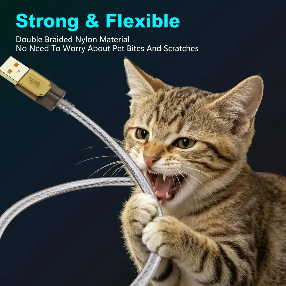 Jelly Tang USB 2.0 Printer Cable 3.66 m (12 Ft) | High-Speed Data Transfer for Printers and Scanners - view 7