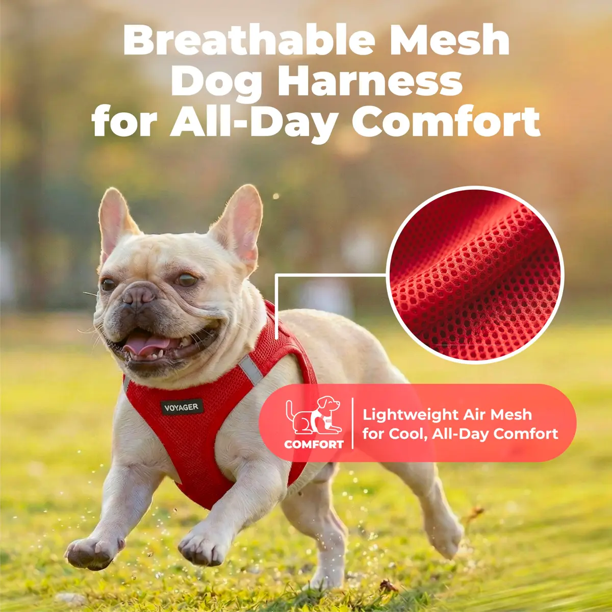 Best Pet Supplies Voyager Step-in Air Dog Vest Harness - Red, XXX-Small | Breathable, Reflective & Easy Fit (70-120 chars) - view 5