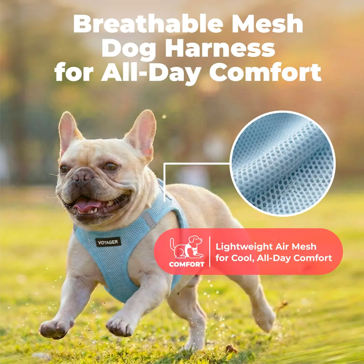 Best Pet Supplies Voyager Step-in Air Dog Vest Harness - Baby Blue, XXX-Small | Breathable Mesh, Reflective Bands, Secure Fit - view 5