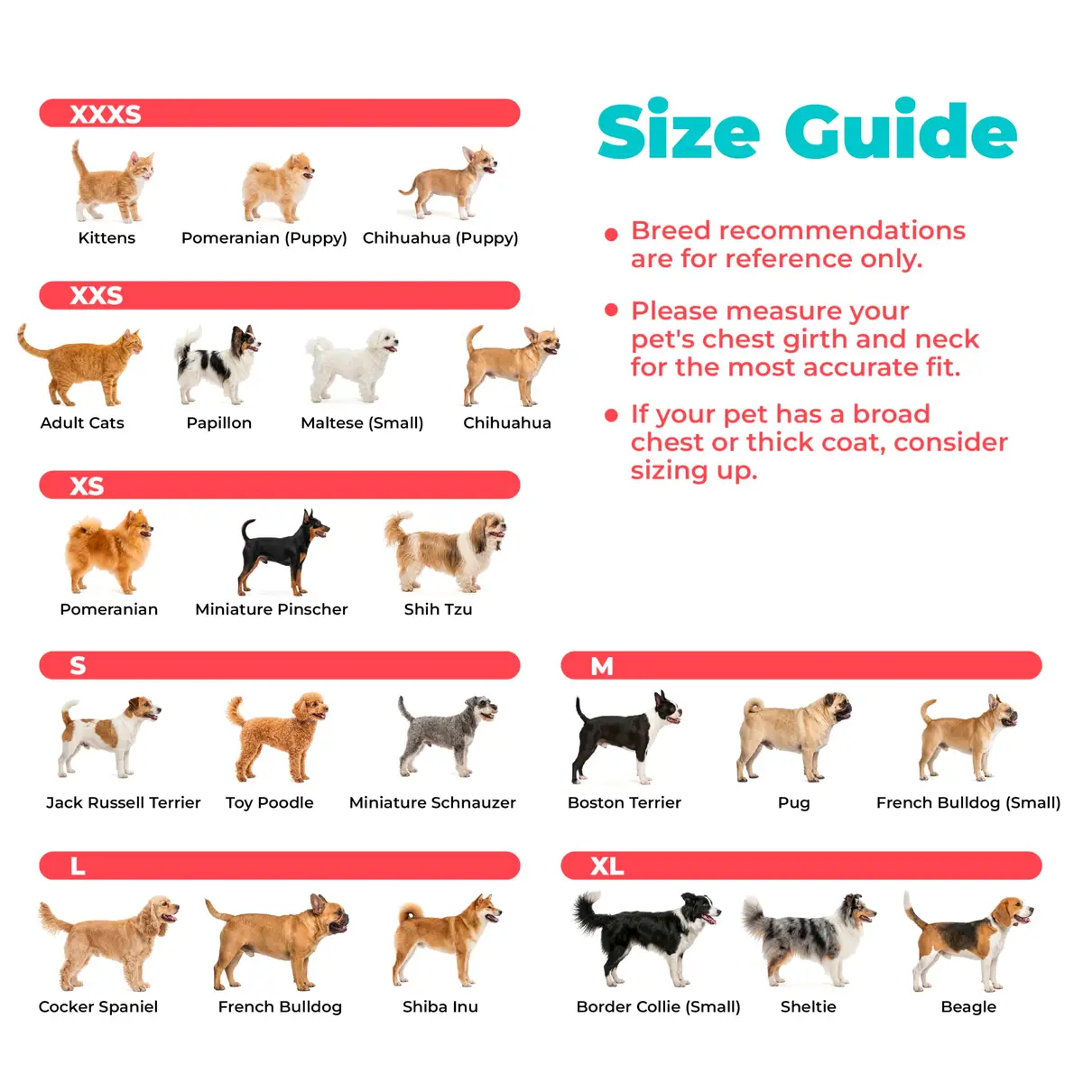 Best Pet Supplies Voyager Step-in Air Dog Vest Harness - Baby Blue, XXX-Small | Breathable Mesh, Reflective Bands, Secure Fit - view 7