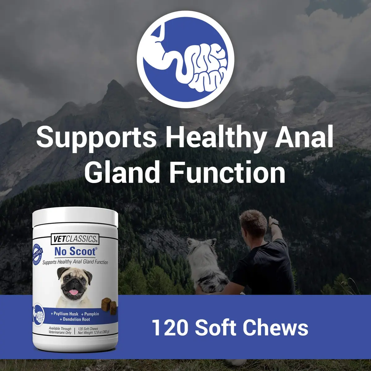Vet Classics No Scoot for Dogs - 120 Soft Chews | Supports Anal Gland & Bowel Function - view 2