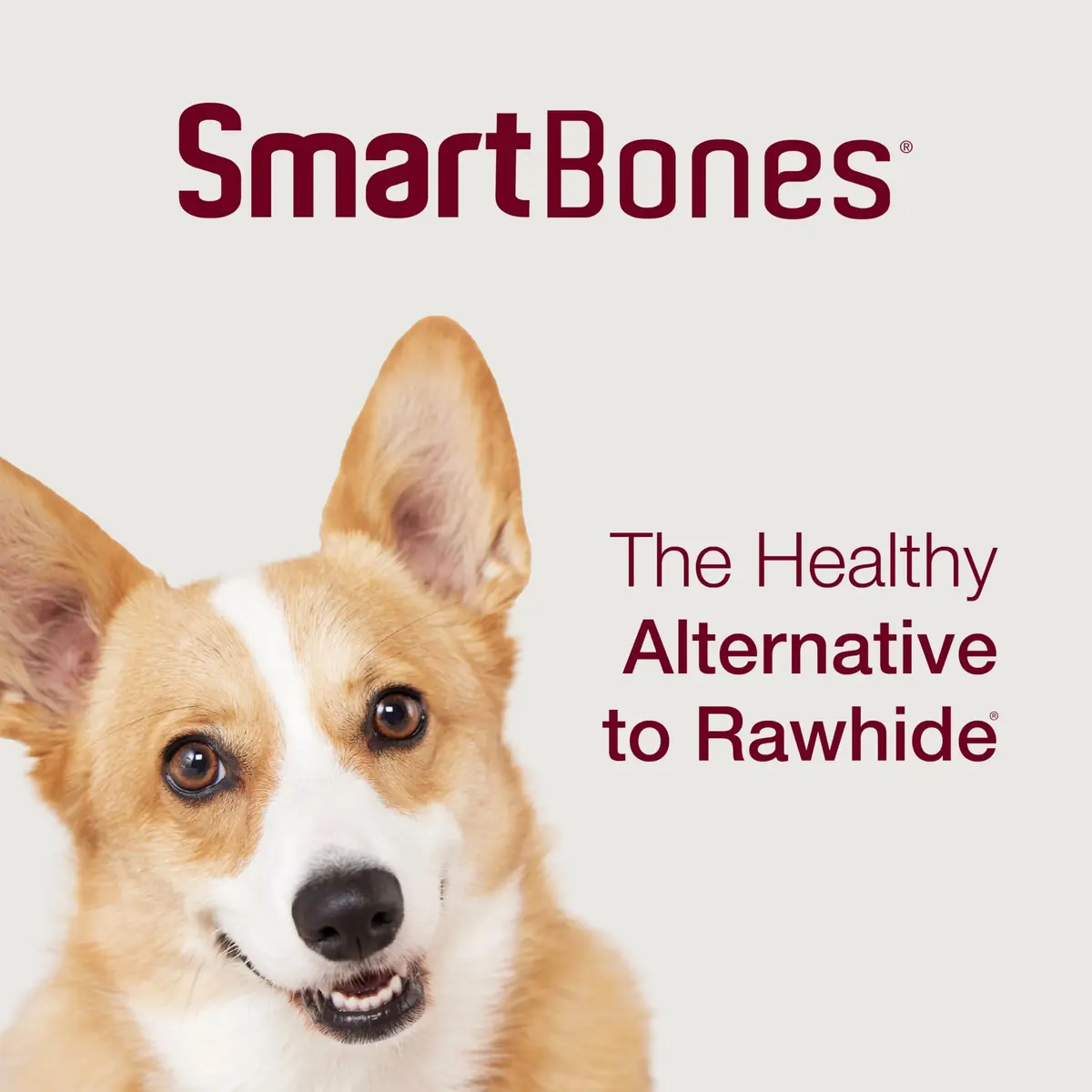 SmartBones Mini Bones Rawhide-Free Dog Treat, Peanut Butter, 56 Count | Healthy, Digestible Chew for Small Dogs - view 8