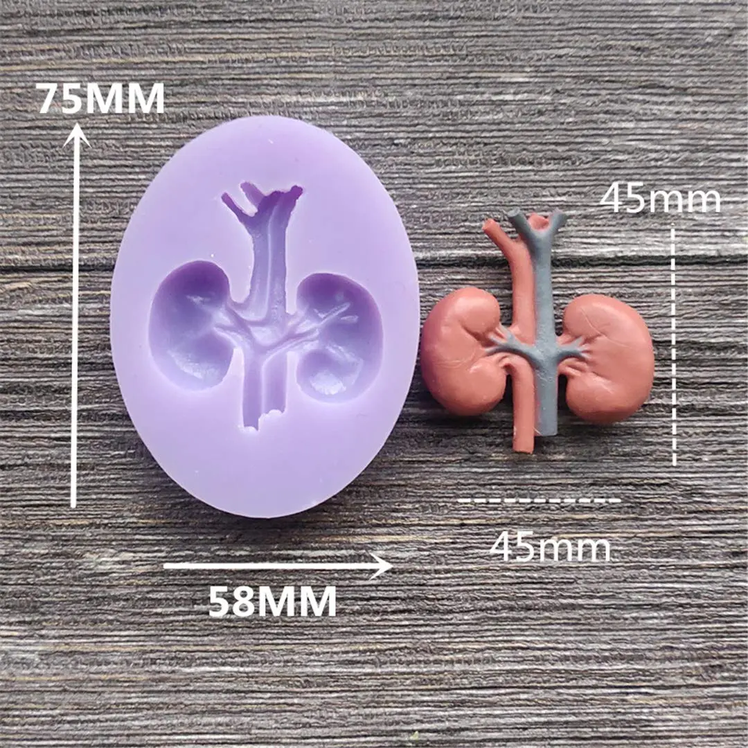 Dekostar Human Organs Shape Silicone Molds,8 Pcs | Food Preparation & Cake Decor (110 chars) - view 8