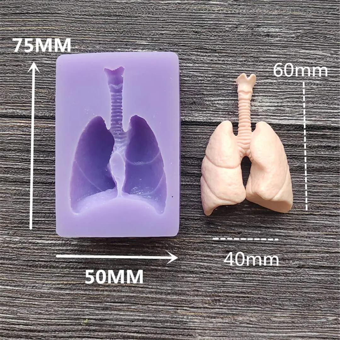 Dekostar Human Organs Shape Silicone Molds,8 Pcs | Food Preparation & Cake Decor (110 chars) - view 9