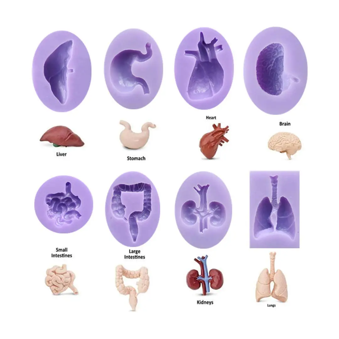 Dekostar Human Organs Shape Silicone Molds,8 Pcs | Food Preparation & Cake Decor (110 chars) - view 2