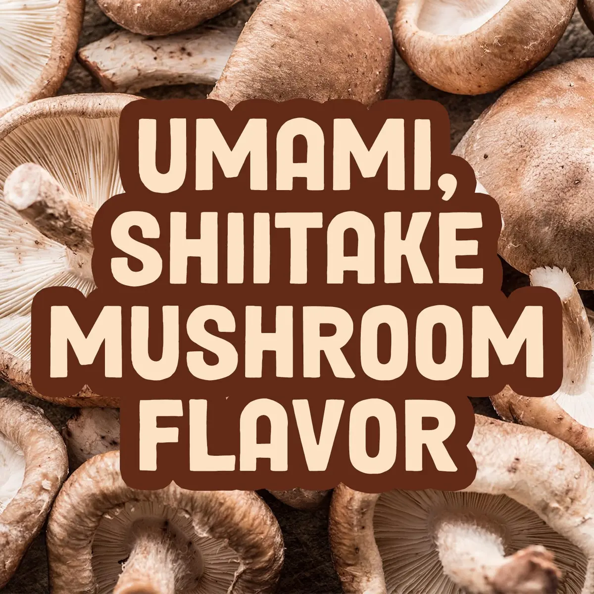 Pan's Mushroom Jerky, Vegan Snacks, Dried Shiitake, Plant-Based Jerky, Gluten Free, High in Fiber (2.2 Oz Pack of 3) - view 5