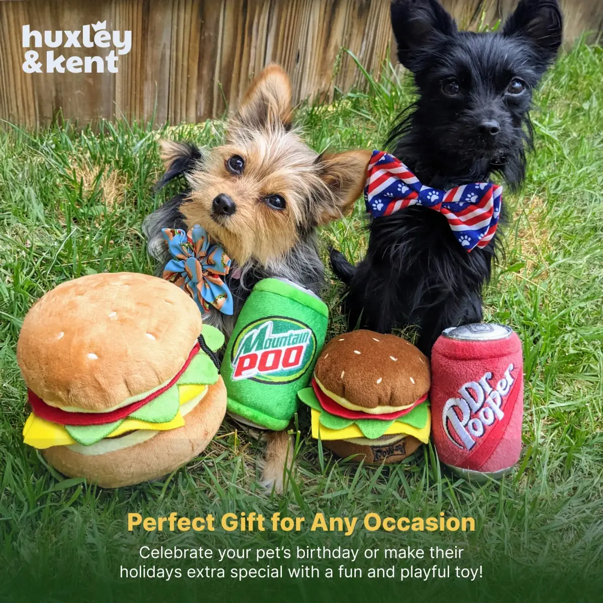 Huxley & Kent Power Plush Squeaky Dog Toy, Dr Pooper, Large | Soft, Durable, and Engaging for Dogs - view 8