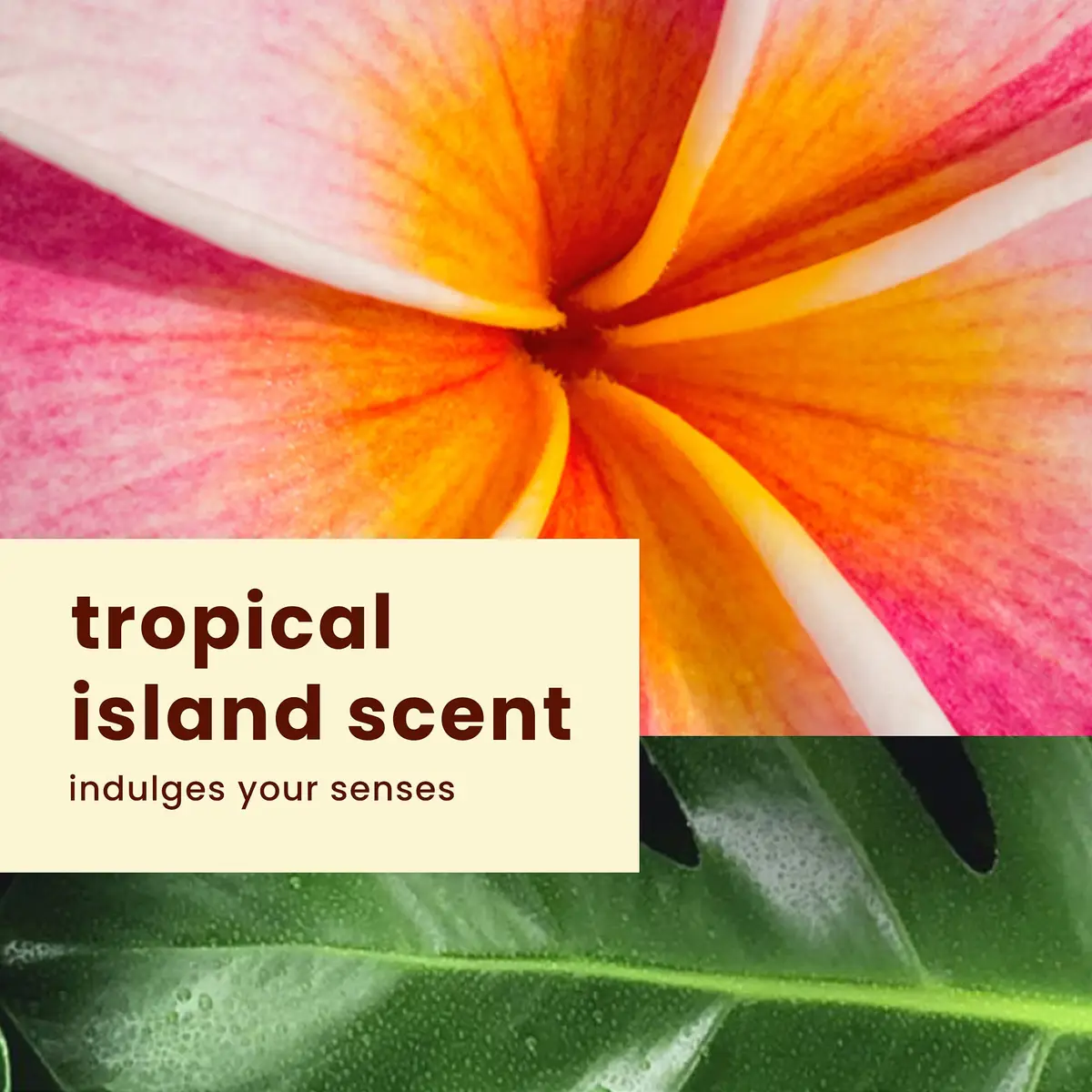 Hawaiian Tropic SPF 30 Broad Spectrum Sunscreen and After Sun Pack 156g (5.5 Fl Oz) | Water-Resistant 80 Min - view 7