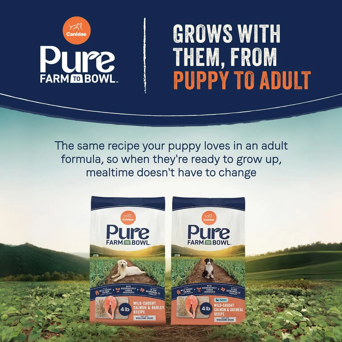 CANIDAE Pure Farm to Bowl Puppy Food 4 lb | Salmon & Oatmeal, Grain-Free, Balanced Nutrition - view 8