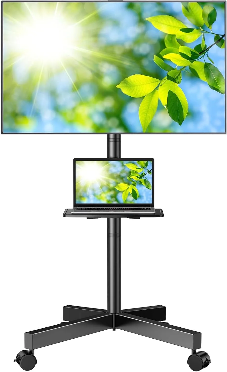 AV Carts & Stands