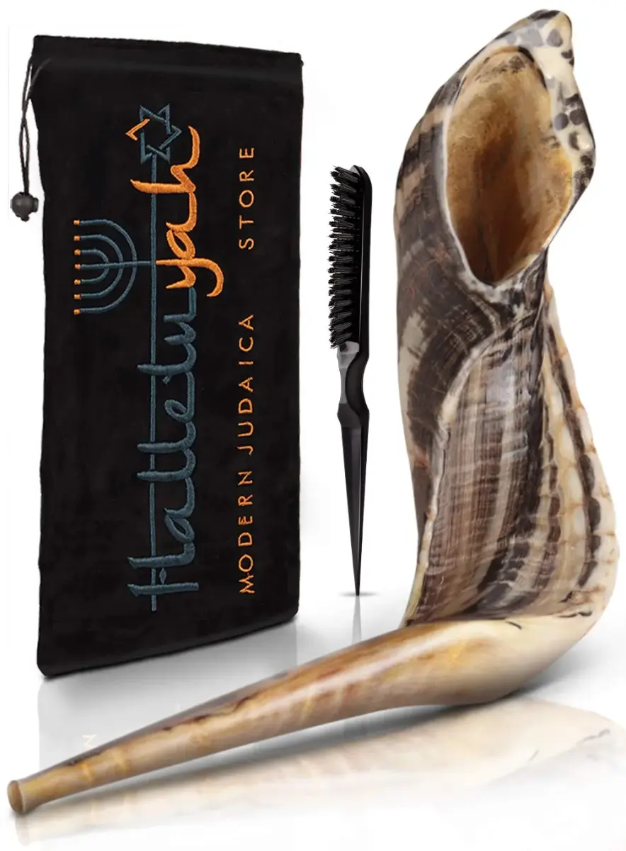 HalleluYAH Kosher Ram Horn Shofar 14"-16" (35.5-40.6 cm) | Authentic Biblical Sound - main product image