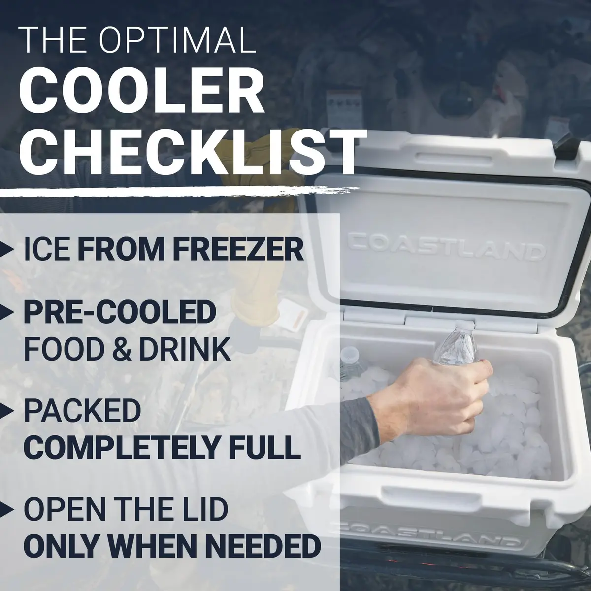 COASTLAND Delta Series 45 QT Rotomolded Cooler | Heavy-Duty Insulated Ice Chest, 45 Quarts, White - view 7