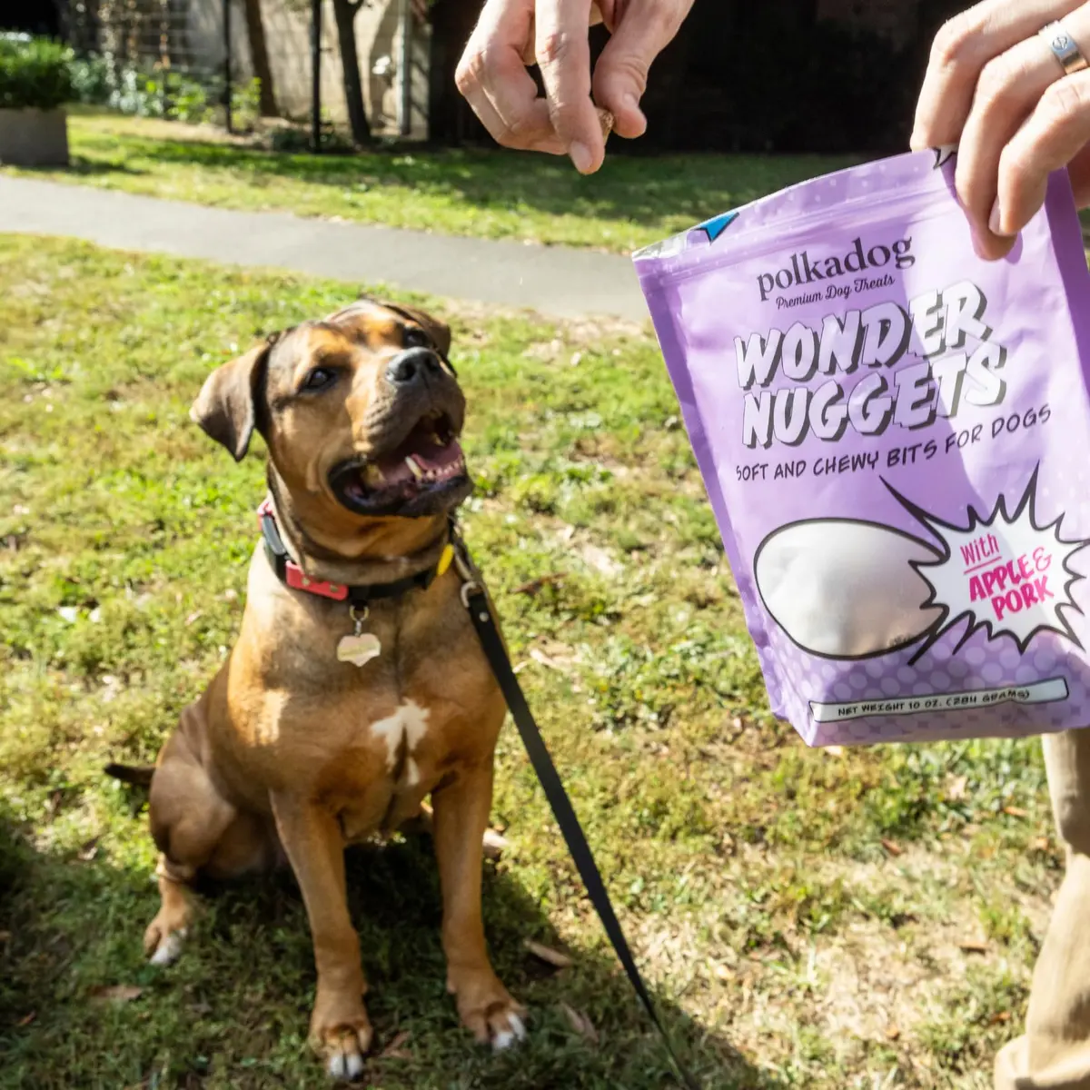 Polkadog Pork & Apple Wonder Nuggets | Soft & Chewy Dog Treats, 10oz - view 7